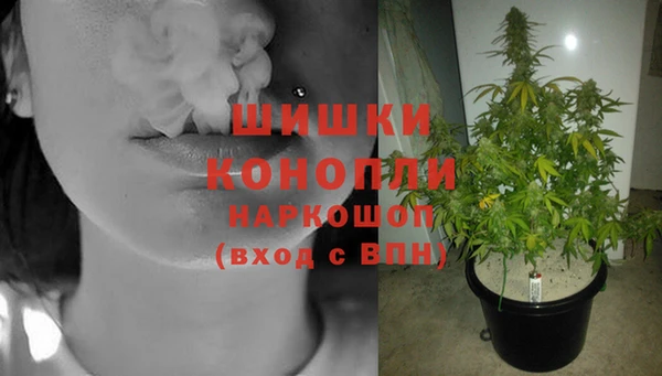 прущая мука Ельня