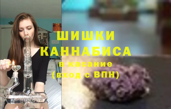 метадон Вяземский