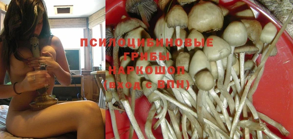 mdma Горнозаводск
